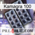 Kamagra 100 31